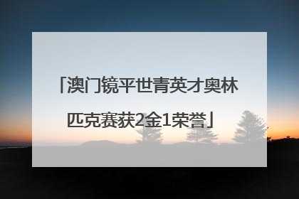 澳门镜平世青英才奥林匹克赛获2金1荣誉