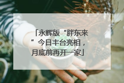 永辉版“胖东来”今日丰台亮相，月底前再开一家