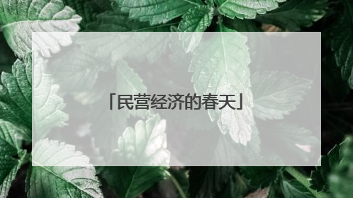 民营经济的春天