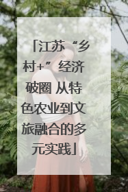 江苏“乡村+”经济破圈 从特色农业到文旅融合的多元实践