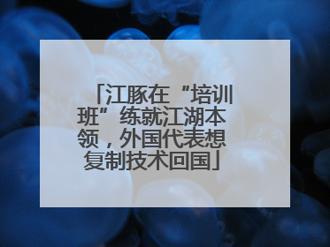 江豚在“培训班”练就江湖本领，外国代表想复制技术回国
