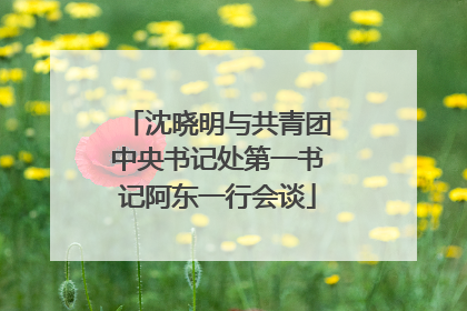 沈晓明与共青团中央书记处第一书记阿东一行会谈