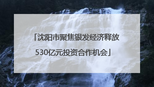 沈阳市聚焦银发经济释放530亿元投资合作机会