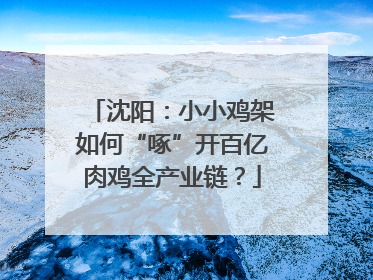 沈阳：小小鸡架如何“啄”开百亿肉鸡全产业链？