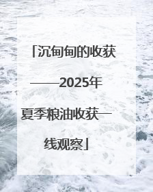 沉甸甸的收获——2025年夏季粮油收获一线观察