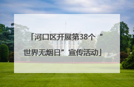 河口区开展第38个“世界无烟日”宣传活动