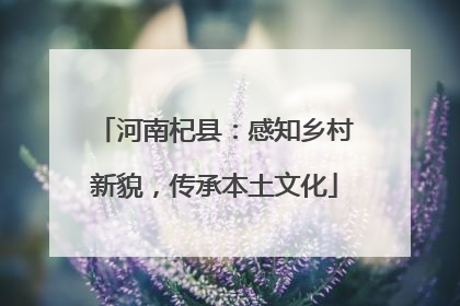 河南杞县：感知乡村新貌，传承本土文化