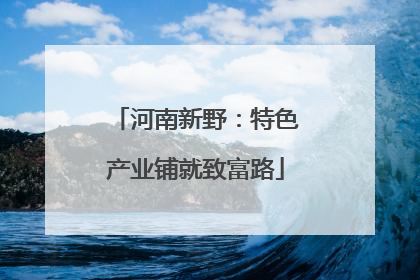 河南新野：特色产业铺就致富路