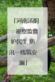 河南汤阴：巡察监督护民生 防汛一线筑安澜