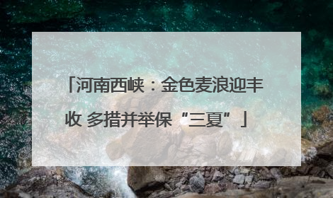 河南西峡：金色麦浪迎丰收 多措并举保“三夏”