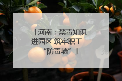 河南：禁毒知识进园区 筑牢职工“防毒墙”