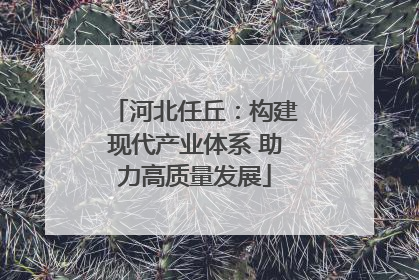 河北任丘：构建现代产业体系 助力高质量发展