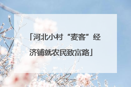 河北小村“麦客”经济铺就农民致富路