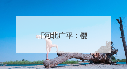 河北广平：樱桃采摘正当时