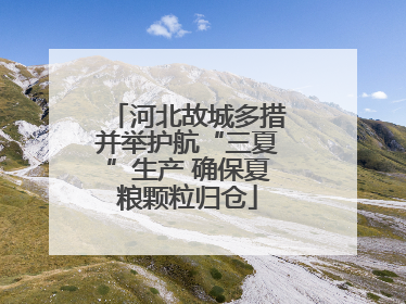 河北故城多措并举护航“三夏”生产 确保夏粮颗粒归仓