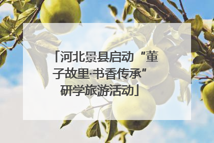 河北景县启动“董子故里·书香传承”研学旅游活动