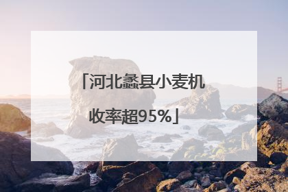 河北蠡县小麦机收率超95%