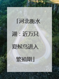 河北衡水湖：近万只夏候鸟进入繁殖期