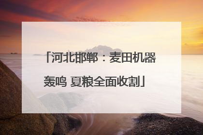 河北邯郸：麦田机器轰鸣 夏粮全面收割