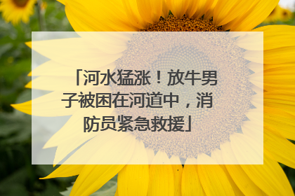 河水猛涨！放牛男子被困在河道中，消防员紧急救援