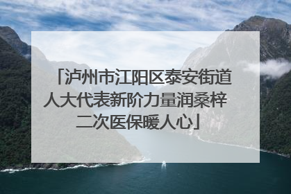 泸州市江阳区泰安街道人大代表新阶力量润桑梓 二次医保暖人心