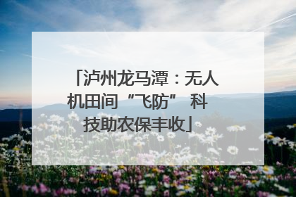 泸州龙马潭：无人机田间“飞防” 科技助农保丰收