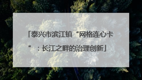 泰兴市滨江镇“网格连心卡”：长江之畔的治理创新