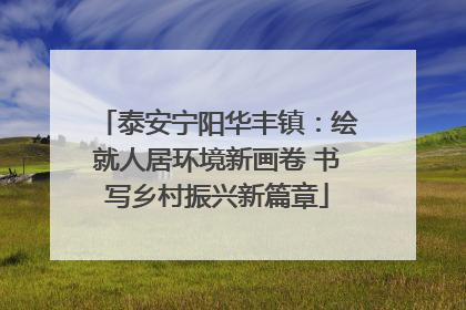 泰安宁阳华丰镇：绘就人居环境新画卷 书写乡村振兴新篇章