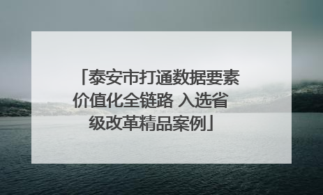 泰安市打通数据要素价值化全链路 入选省级改革精品案例