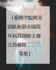 泰州学院两支团队斩获全国青年科普创新大赛江苏赛区二、三等奖
