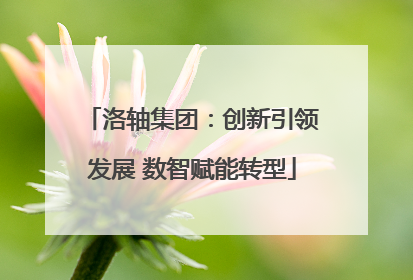 洛轴集团：创新引领发展 数智赋能转型