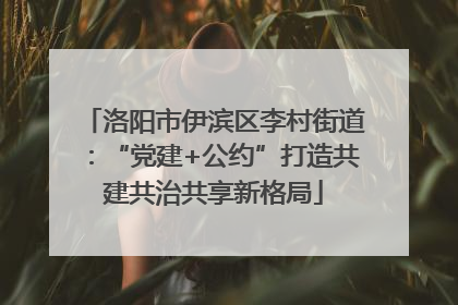 洛阳市伊滨区李村街道：“党建+公约”打造共建共治共享新格局