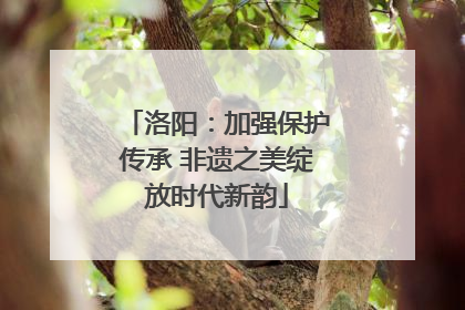 洛阳：加强保护传承 非遗之美绽放时代新韵