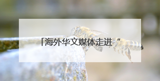 海外华文媒体走进“华夏第一都” 聚焦乡村特色产业发展