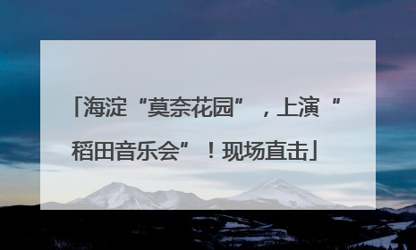 海淀“莫奈花园”，上演“稻田音乐会”！现场直击