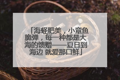 海蛏肥美，小章鱼脆弹，每一种都是大海的馈赠——夏日到海边 就爱那口鲜