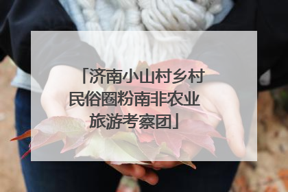 济南小山村乡村民俗圈粉南非农业旅游考察团