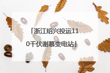 浙江绍兴投运110千伏谢慕变电站