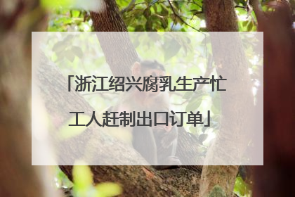 浙江绍兴腐乳生产忙 工人赶制出口订单
