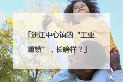 浙江中心镇的“工业重镇”，长啥样？