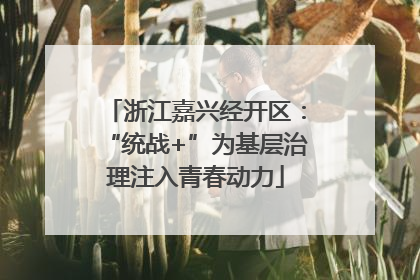 浙江嘉兴经开区：“统战+”为基层治理注入青春动力