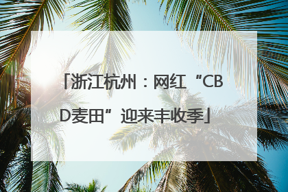 浙江杭州：网红“CBD麦田”迎来丰收季
