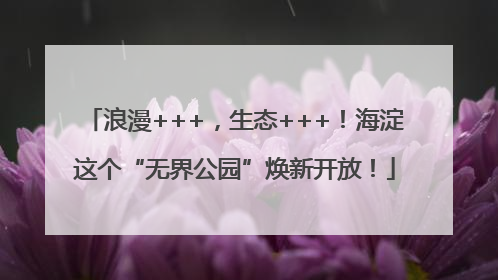 浪漫+++，生态+++！海淀这个“无界公园”焕新开放！