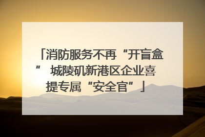 消防服务不再“开盲盒” 城陵矶新港区企业喜提专属“安全官”