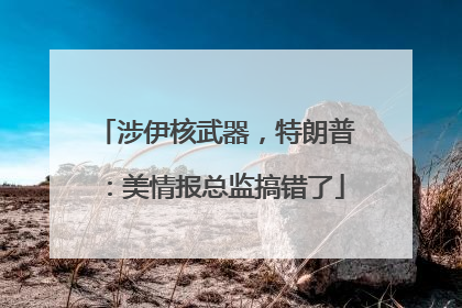涉伊核武器，特朗普：美情报总监搞错了