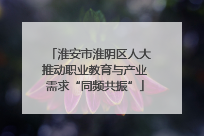 淮安市淮阴区人大推动职业教育与产业需求“同频共振”