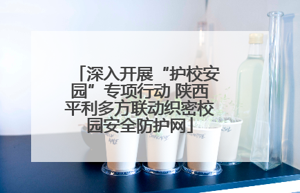 深入开展“护校安园”专项行动 陕西平利多方联动织密校园安全防护网