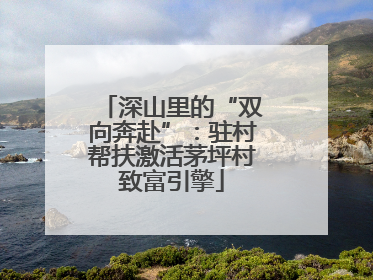 深山里的“双向奔赴”：驻村帮扶激活茅坪村致富引擎