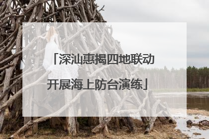 深汕惠揭四地联动开展海上防台演练