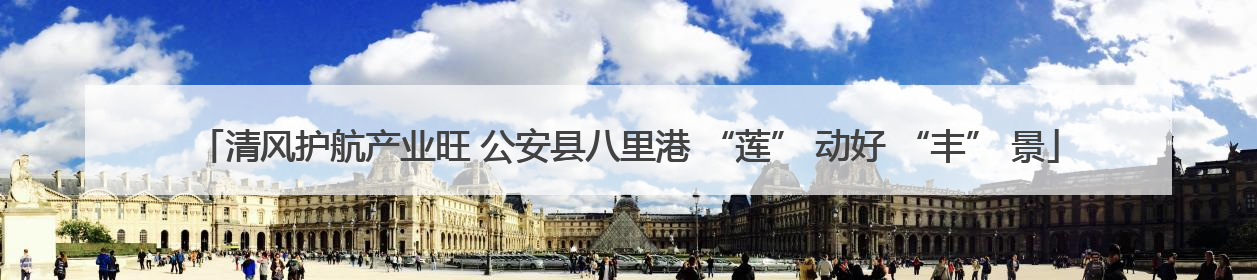 清风护航产业旺 公安县八里港 “莲” 动好 “丰” 景